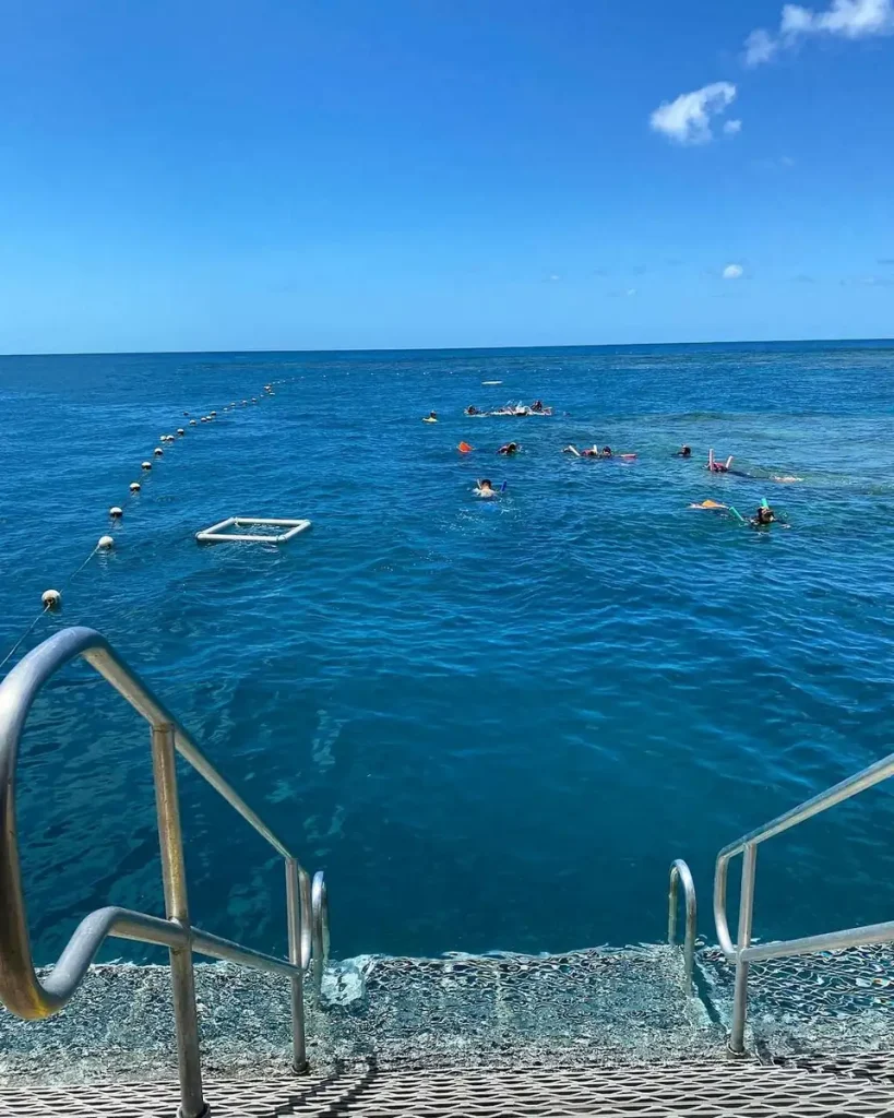 Zap Theory NFT | The Best Eco-Certified Great Barrier Reef Operators: Who Is Really Doing the Work in 2026? Final Thoughts from Paul