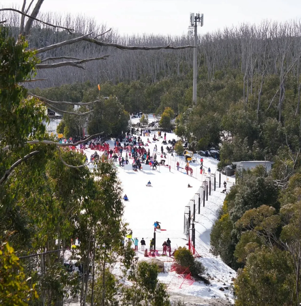 Lake Mountain Alpine Resort