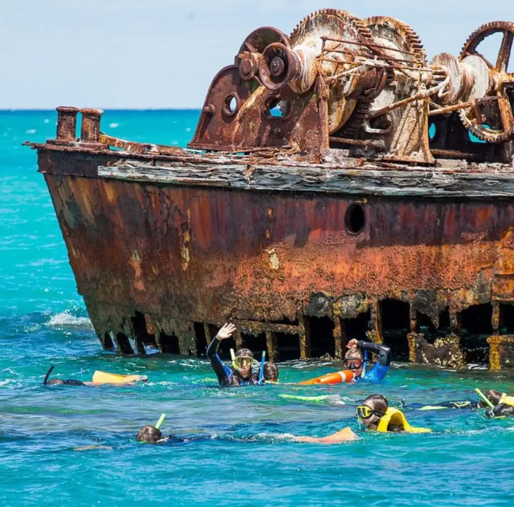Zap Theory NFT | The Best Eco-Certified Great Barrier Reef Operators: Who Is Really Doing the Work in 2026? Moreton Island Day Trip