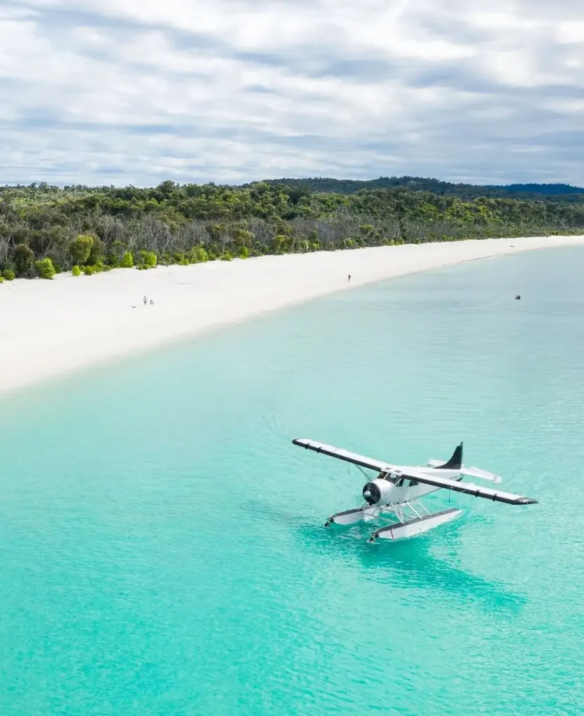 Zap Theory NFT | The Best Eco-Certified Great Barrier Reef Operators: Who Is Really Doing the Work in 2026? Real Partnerships in Conservation – Out on the Water