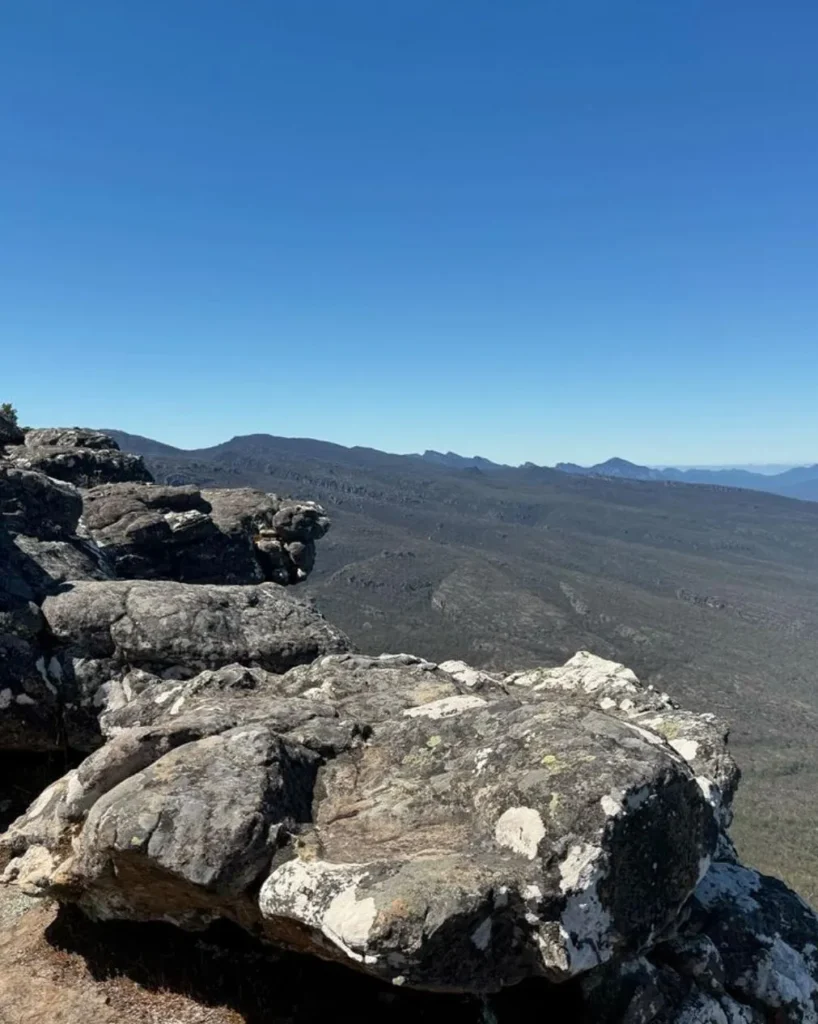 Reeds Lookout